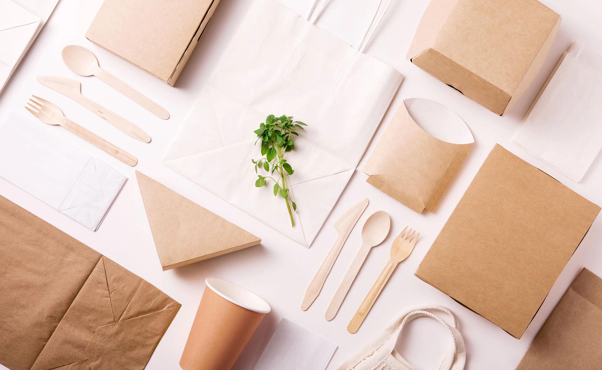 packaging ecologico 