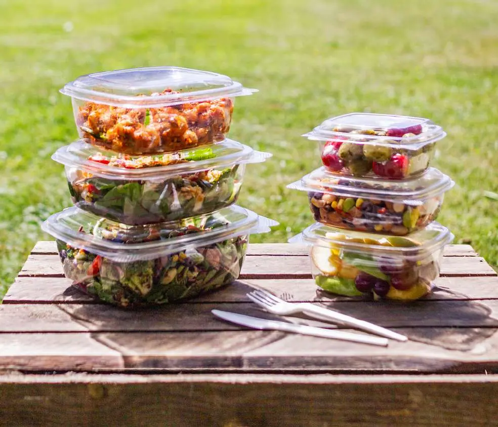 envases del catalogo 2gopack comida para llevar